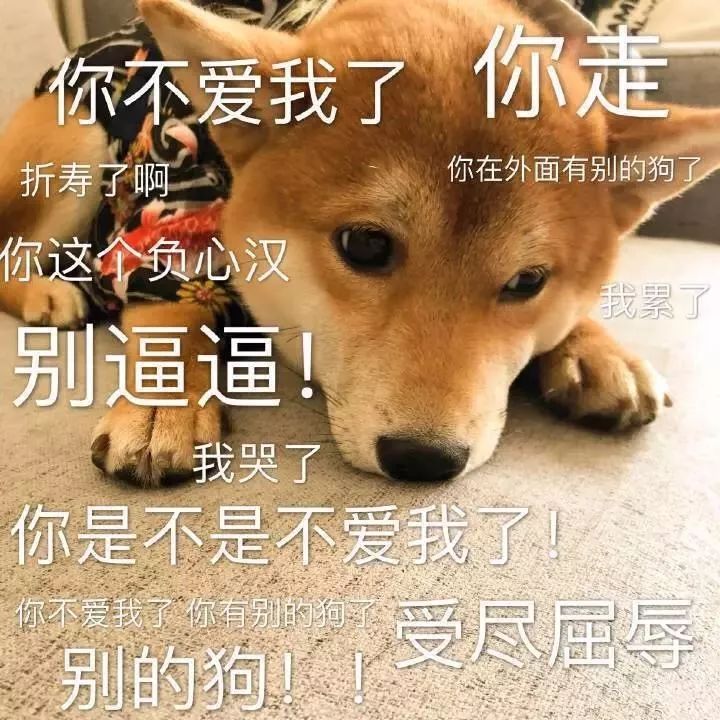 清欢网