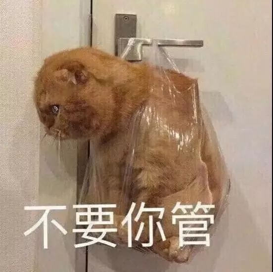 清欢网