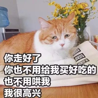 清欢网