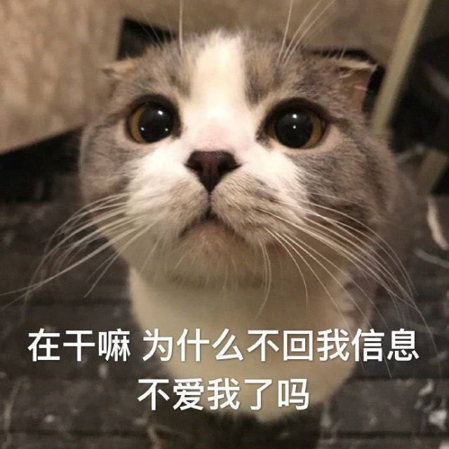 清欢网