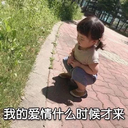 清欢网